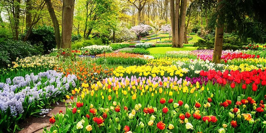 Keukenhof Gardens Keukenhof Gardens