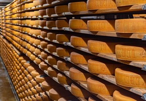 La Maison du Gruyere & Maison Cailler